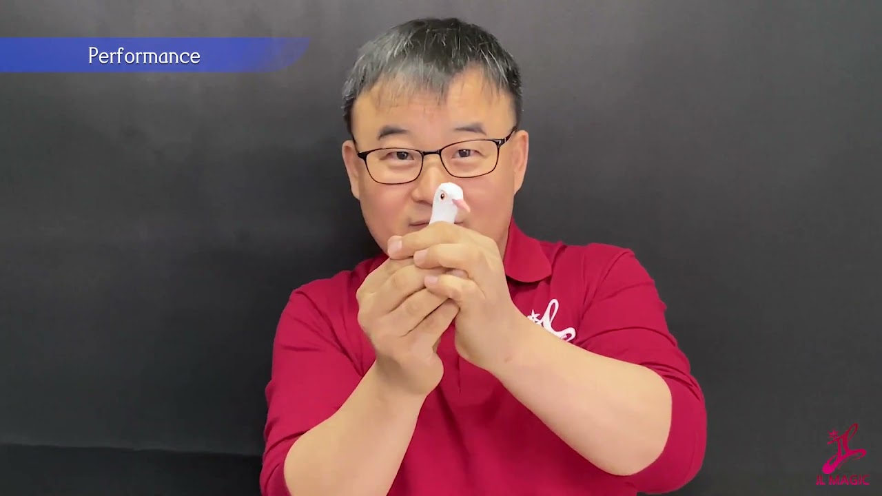 YouTube video player