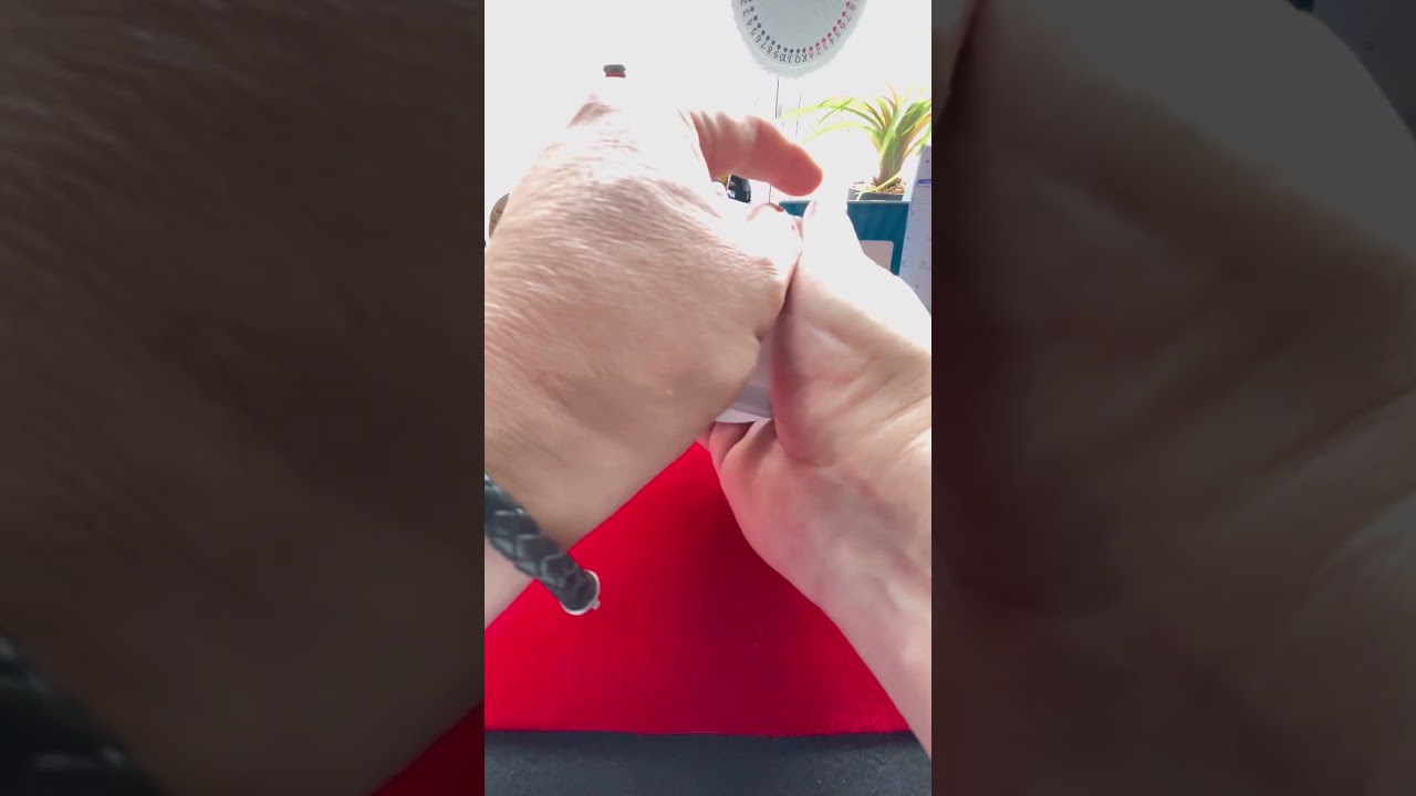 YouTube video player