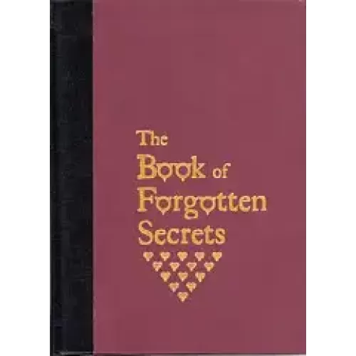 The Book Of Forgotten Secrets by Stephen Minch
