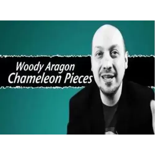 Chameleon Pieces by Woody Aragon