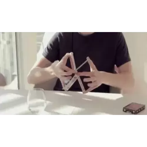 Director's Cut by Tobias Levin And Oliver Sogard