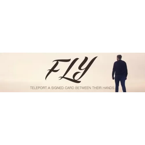 Fly by Geraint Clarke