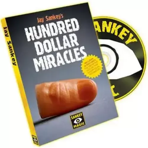 Hundred Dollar Miracles by Jay Sankey
