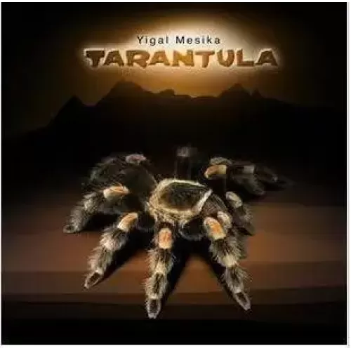 Tarantula by Yigal Mesika
