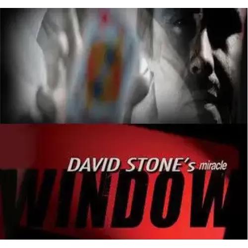 Window by David Stone