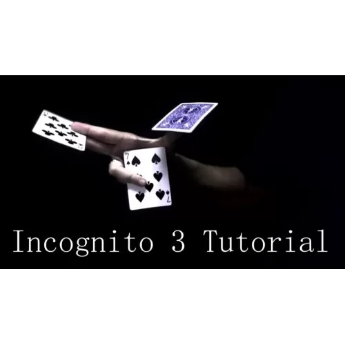 Incognito 3 by Alexandre Bazilio