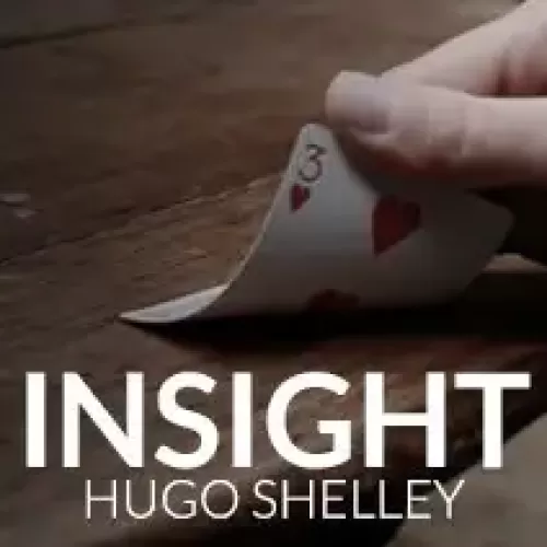 Insight by Hugo Shelley
