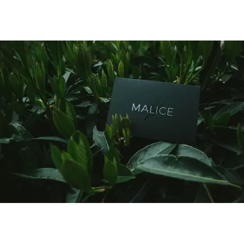 Malice by Eric Jones And Lost Art Magic