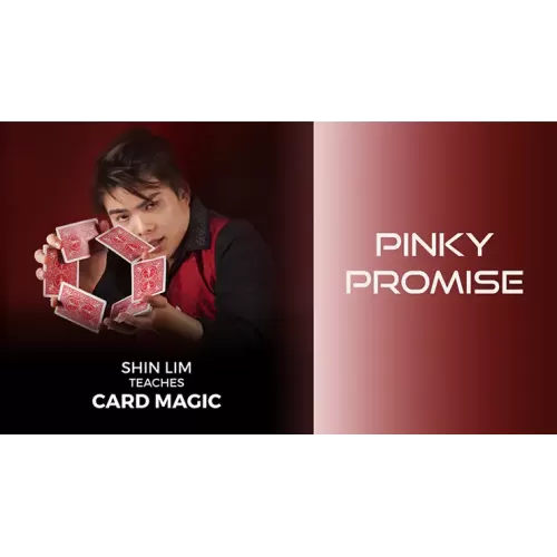 Pinky Promise (1-2) by Shin Lim