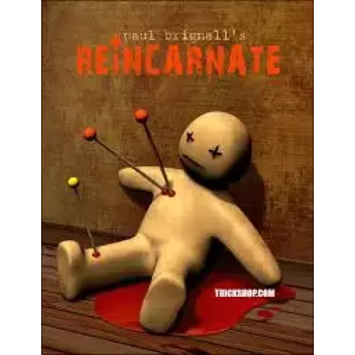 Reincarnate Book Test by Paul Brignall