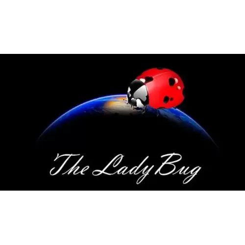 The Ladybug by Hugo Valenzuela