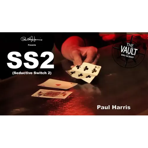 The Vault - Ss2 by Paul Harris