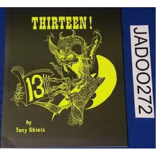 Thirteen by Tony Shiels