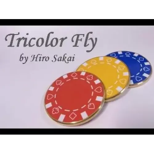 Tricolor Fly by Hiro Sakai