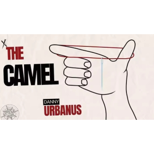 The Camel by Danny Urbanus