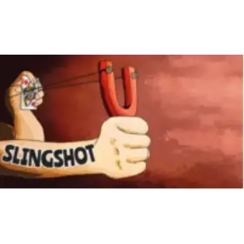 The Slingshot by Joel Anthony