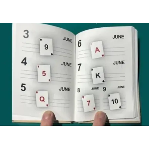 LS Diary by Leo Smetsers