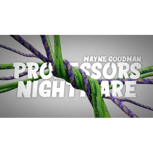 Wayne Goodman – Linking Loops
