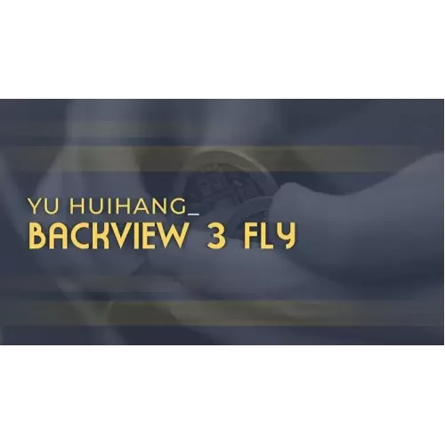 Backview 3 Fly by Yu Huihang