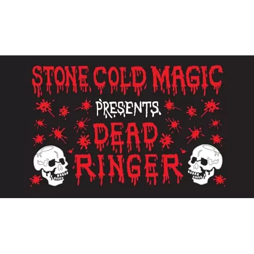Dead Ringer by Jeff Stone
