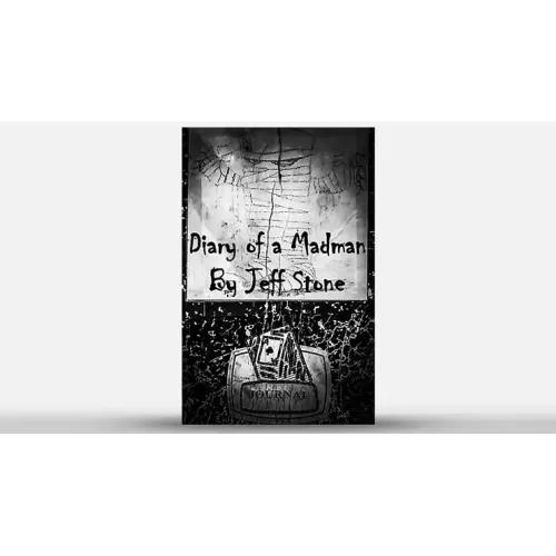 Diary Of A Madman by Jeff Stone