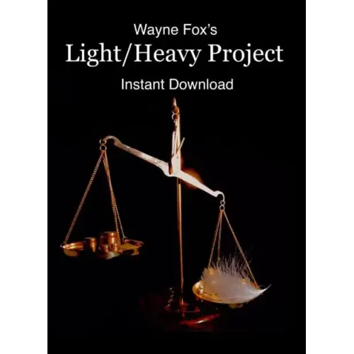 Light Heavy Project by Wayne Fox