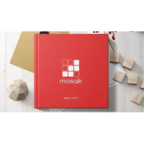 Mosaik (Video+Pdf) by Diego Voltini