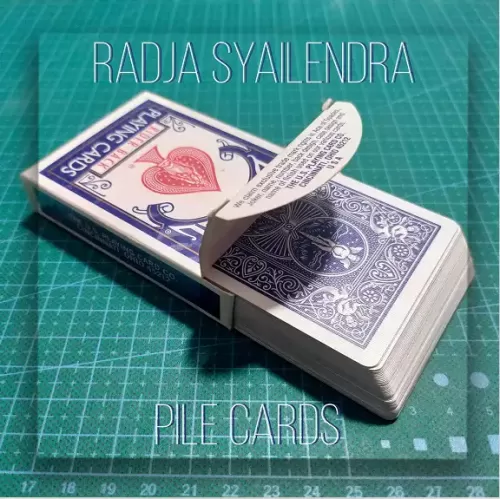 Pile Cards by Radja Syailendra