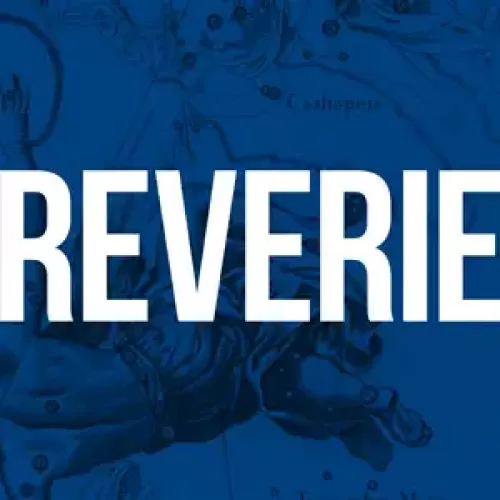 Reverie by Joseph Barry