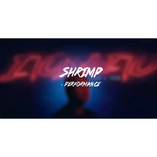 Shrimp by Zee J. Yan