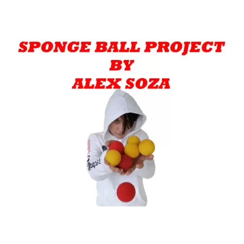 Sponge Ball Project by Alex Soza