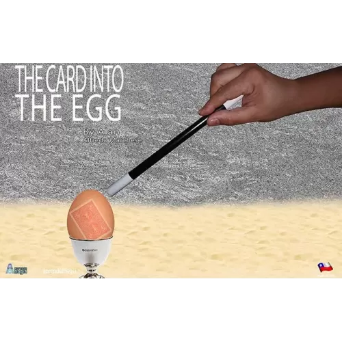 The Card Into The Egg by Alan