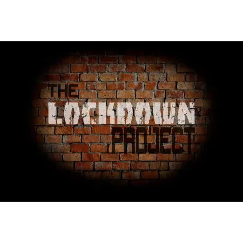 The Lockdown Project by Ian Hamilton