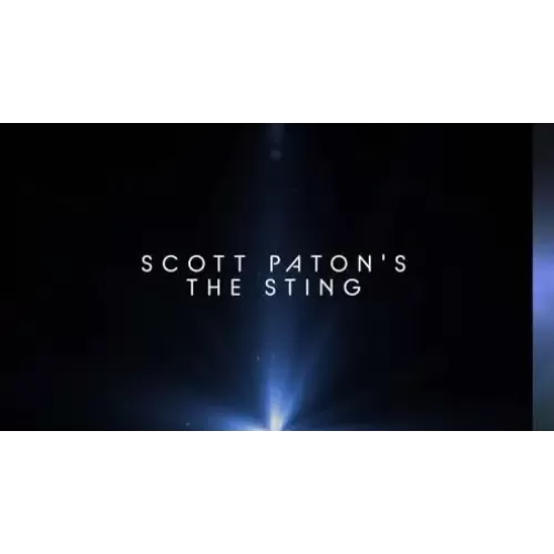 The Sting by Scott Paton
