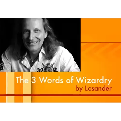The Three Words Of Wizardry by Dirk Losander