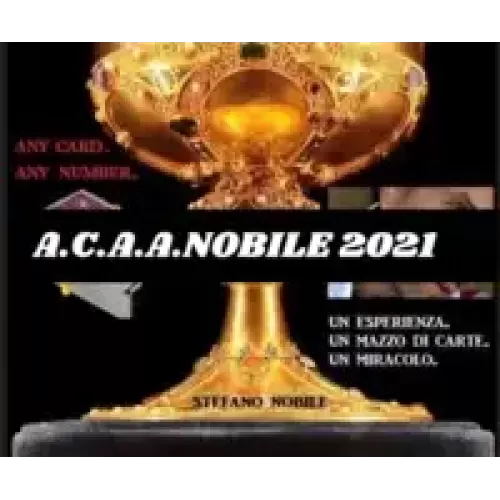 Travel A.C.A.A.N.. 2021 by Stefano Nobile