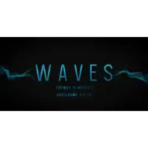 Waves (Video) by Guillaume Botta & Thomas Rembault