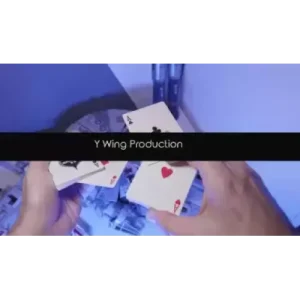 Y Wing by Yoann Fontyn