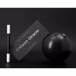 Balloon Oracle by Henry Harrius