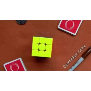 Cerebellum Solve by TN and JJ Team