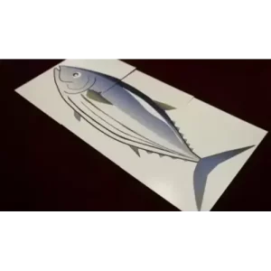 Shoji – Fishy Fish