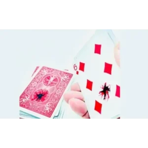 The Fly by Ronjo Magic