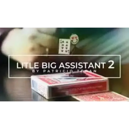 Patricio Teran - Little Big Assistant 2