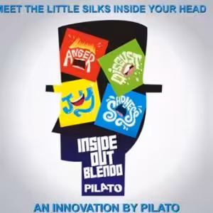 Inside Out Blendo by Pilato