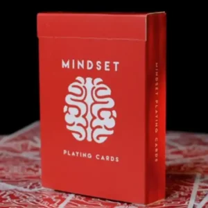 Anthony Stan – Mindset Duo