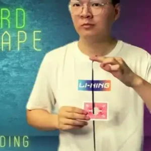 Dingding – The Vault – Card Escape