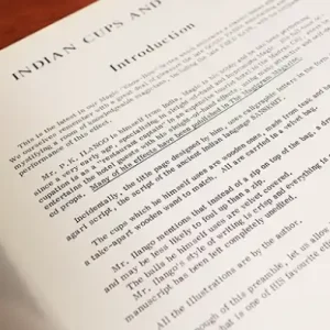 P.K. Ilango – Indian Cups And Balls