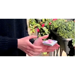 Luke Oseland – Deck Suspension