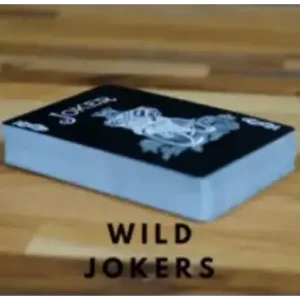 Wild Jokers by Aaron Lewis