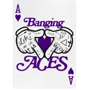 Daniel Madison – BANGING ACES – Sleight-of-Hand Workshop